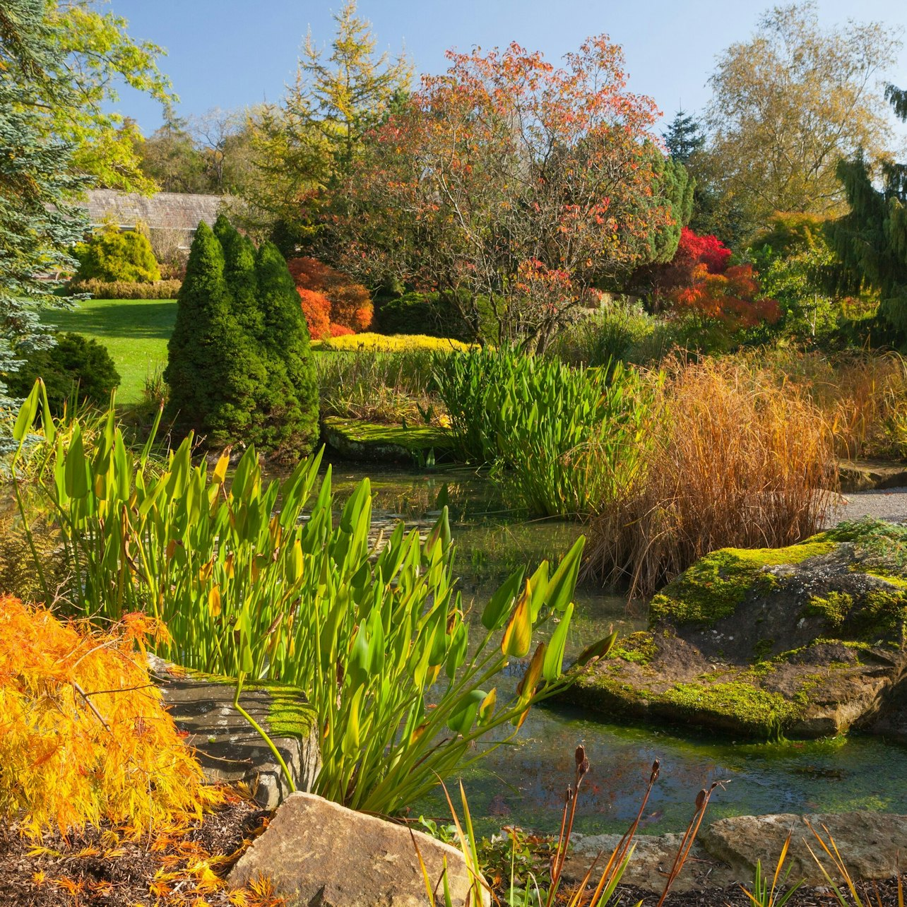 RHS Garden Harlow Carr: Entry Ticket - Photo 1 of 5